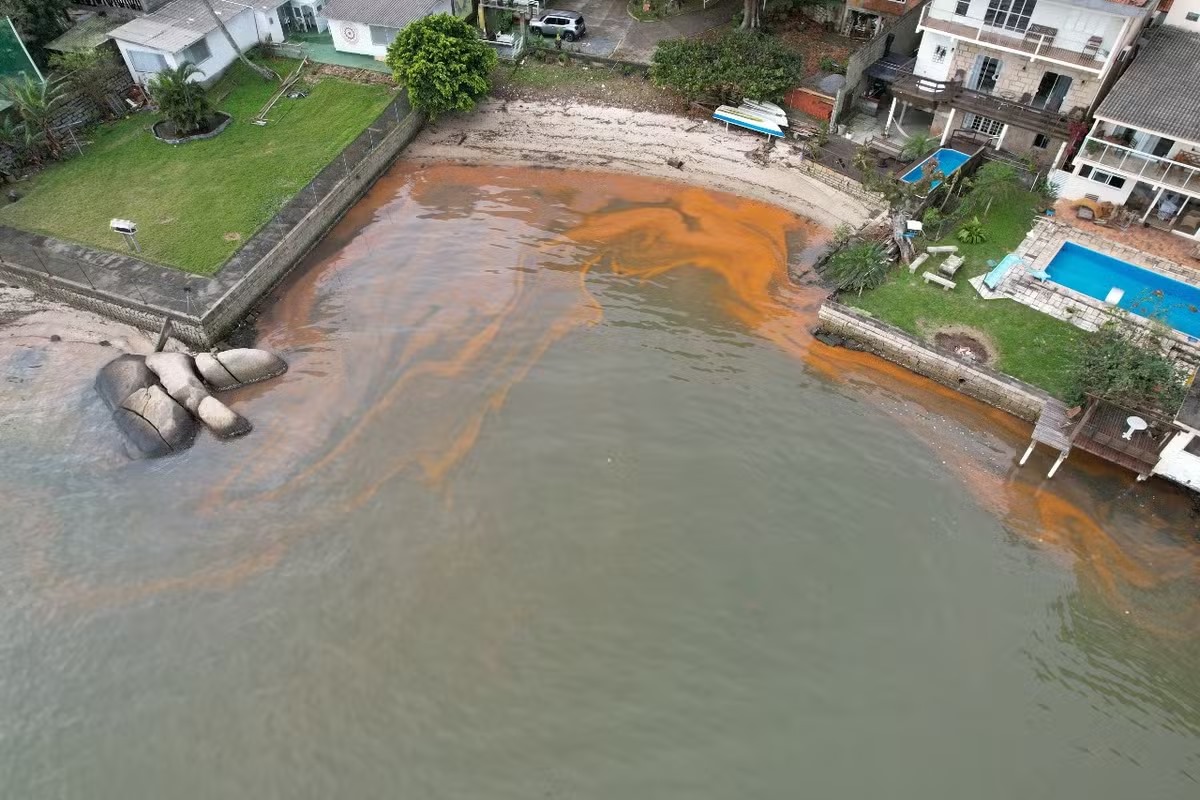 Santa Catarina lança linha de financiamento emergencial para maricultores afetados pela maré vermelha