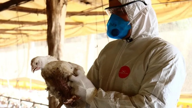 Saldo do Fundesa alcança R$ 152 milhões