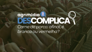Agrimidia Descomplica: afinal, a carne de porco é branca ou vermelha?