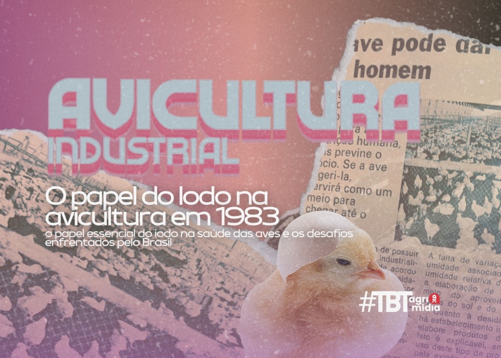 #TBT Agrimidia: O Papel do iodo na Avicultura Brasileira em 1983