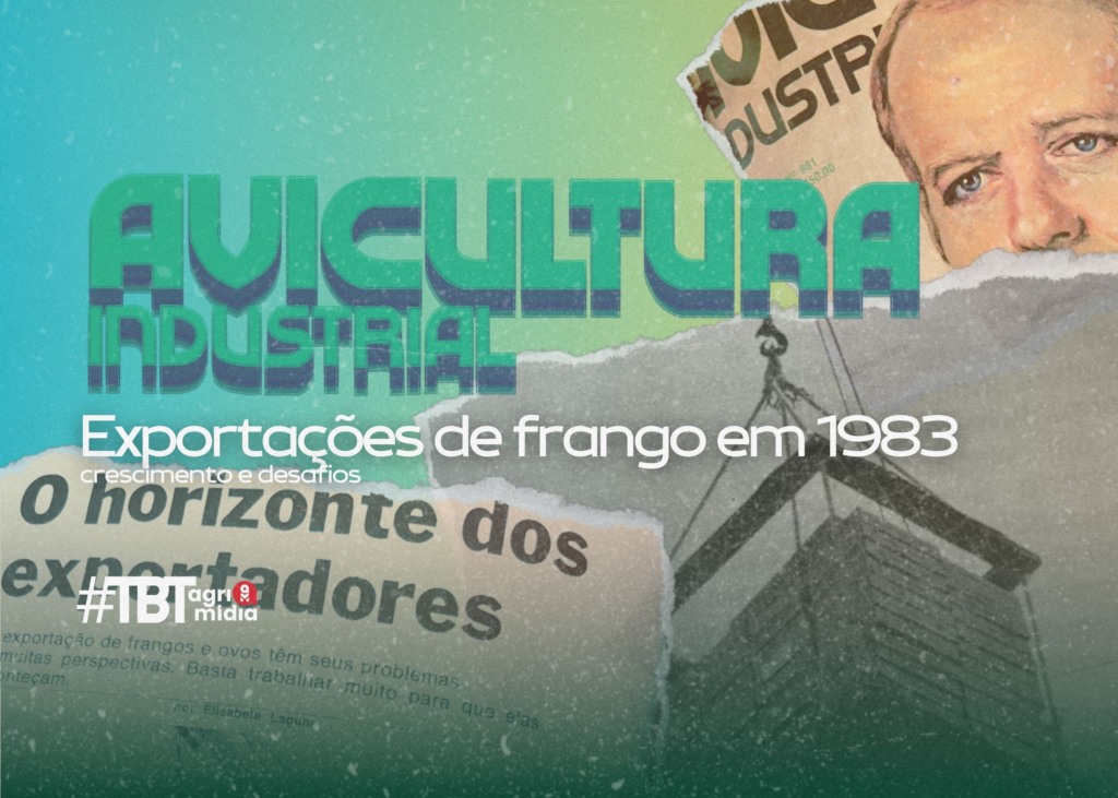 #TBT Agrimídia: Exportações de frango na década de 80 – crescimento e desafios