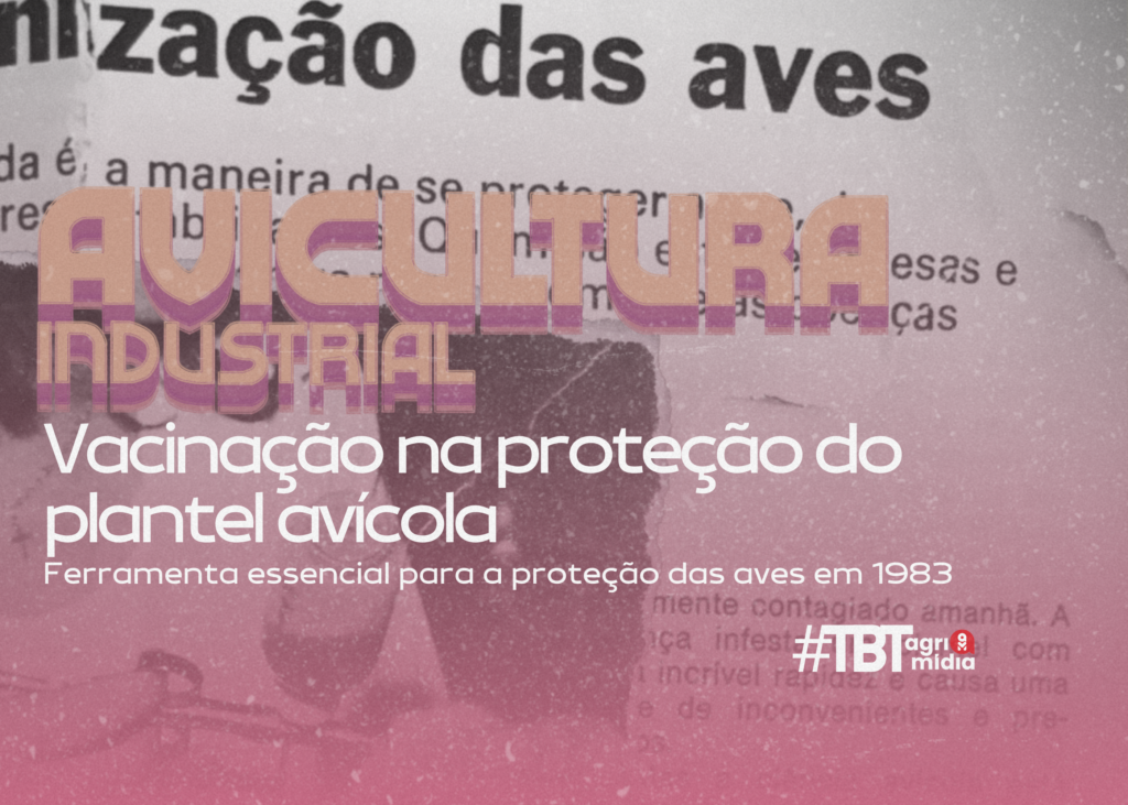 #TBT Agrimidia: O papel da vacinação na proteção do plantel no início da década de 80