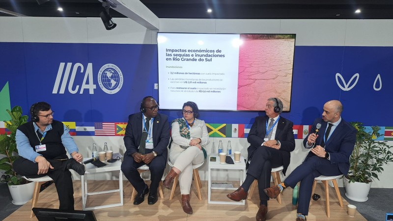 Plano de Agricultura de Baixo Carbono do RS é apresentado na COP29