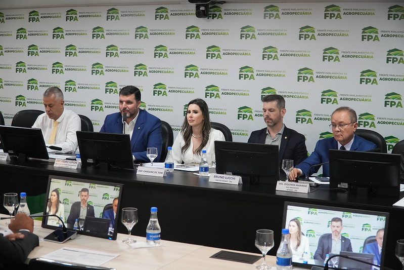 FPA debate desafios da COP29 e metas de redução de emissões de gases de efeito estufa