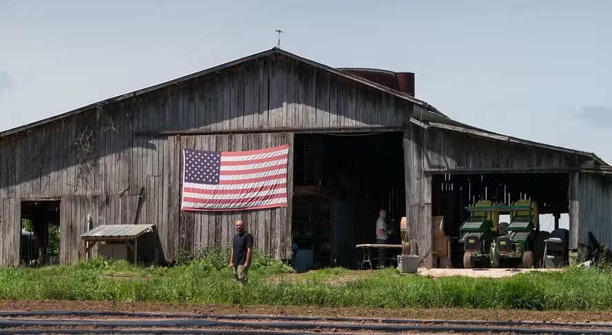 Disputa presidencial nos EUA e futuro na agropecuária global