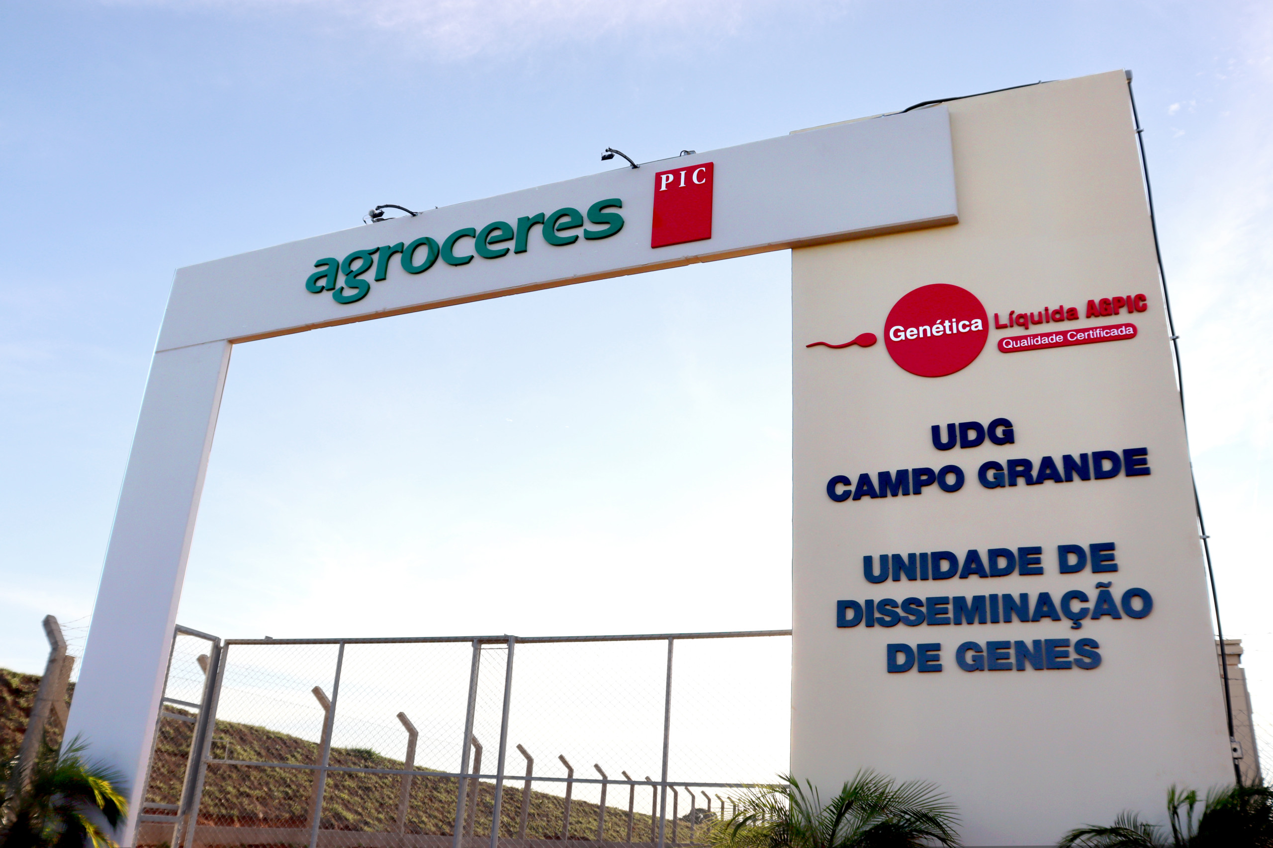 Agroceres PIC inaugura nova Unidade de Disseminação de Genes no Mato Grosso do Sul e consolida sua estrutura de Genética Líquida no Brasil