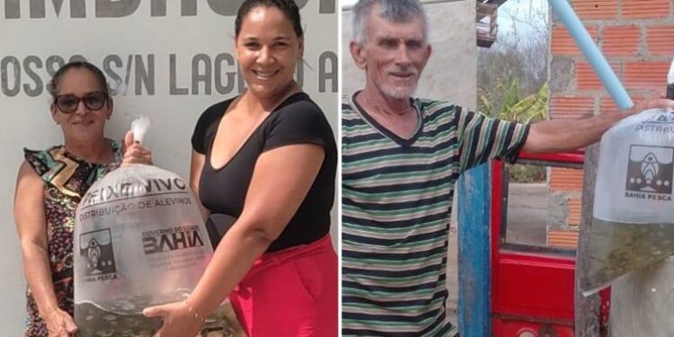 Iaçu (Bahia) investe na piscicultura para fortalecer agricultura familiar e segurança alimentar