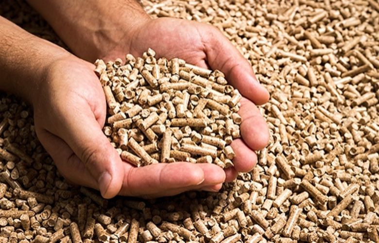 Fala Agro: “Manual para treinamento de colaboradores em fábricas de ração”, por Ednilson Zotesso Fávaro