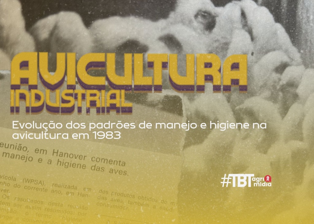 #TBT Agrimidia: Evolução dos padrões de manejo e higiene na avicultura em 1983