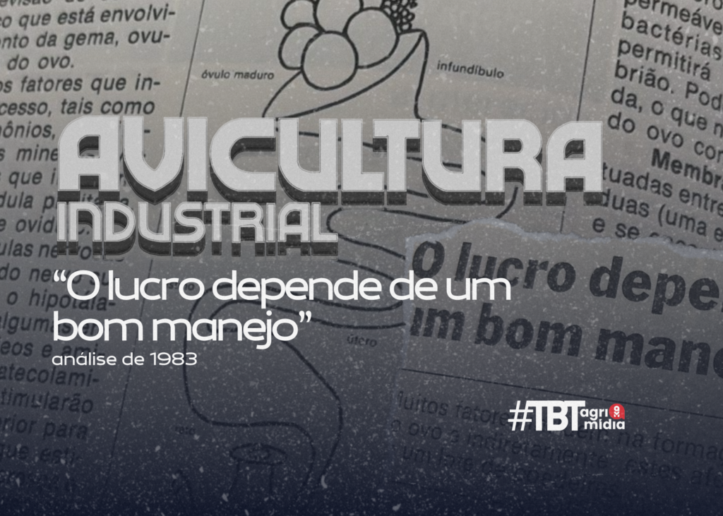 #TBT Agrimidia: O lucro depende de um bom manejo