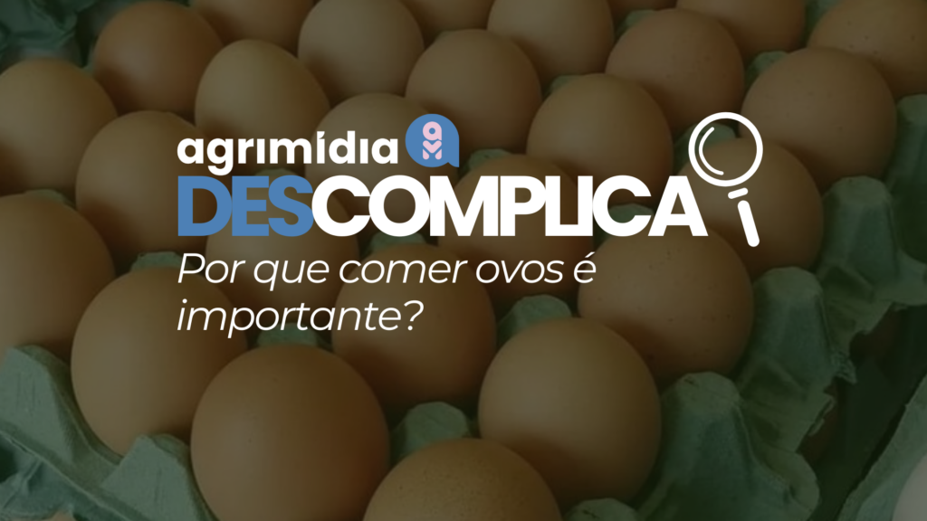 Agrimidia Descomplica: Por que comer ovos é importante?