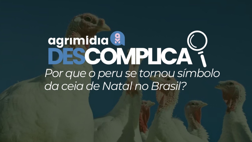 Agrimidia Descomplica: Por que o peru se tornou símbolo da ceia de Natal no Brasil?