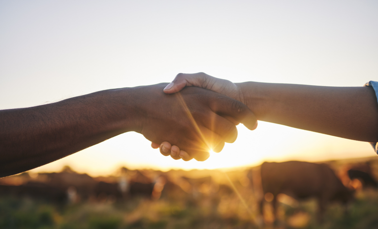 Crédito agrícola cresce 26%: BNDES libera R$ 52,3 bilhões em 2024