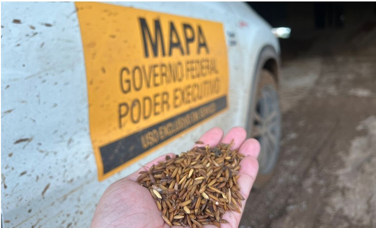 Mapa celebra convênio de R$ 21 milhões para fortalecer a defesa agropecuária no Rio Grande do Sul