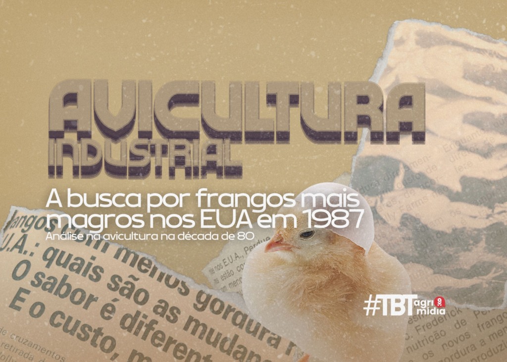 #TBT Agrimidia: A busca por frangos mais magros nos EUA em 1987