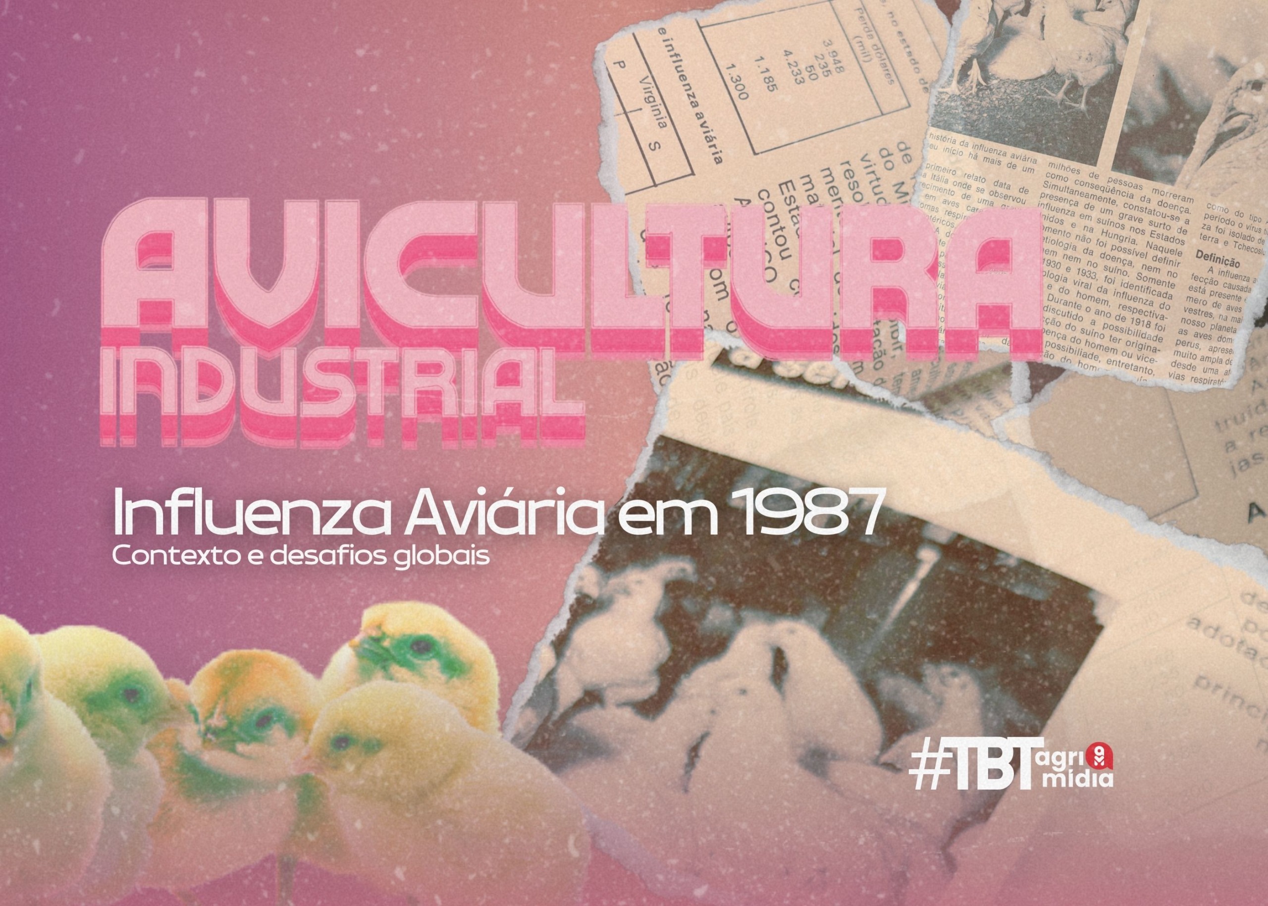 #TBT Agrimidia: Influenza Aviária e seu contexto desde 1987