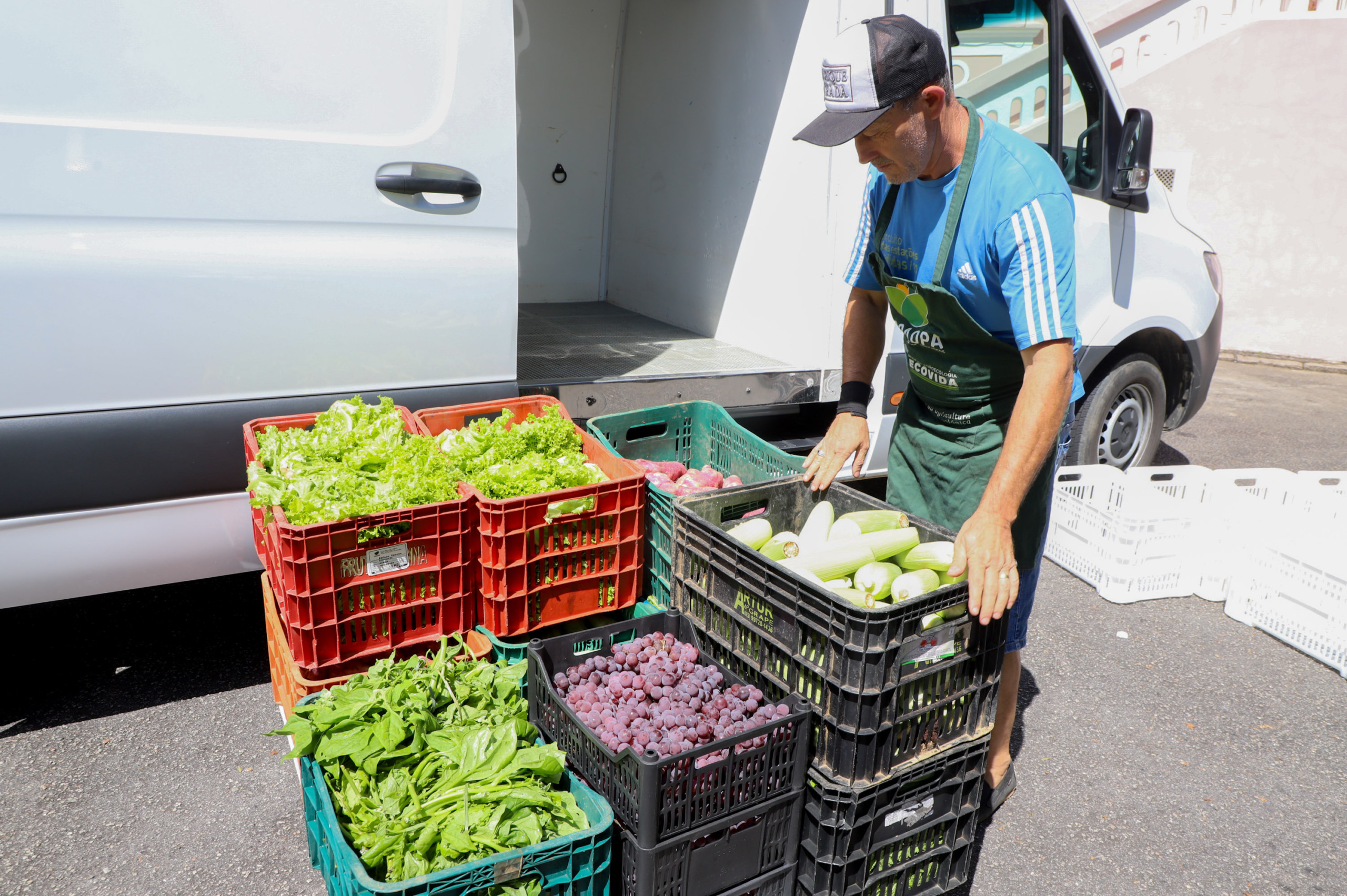 Governo do Paraná amplia programa de compra de alimentos para a agricultura familiar Governo do Paraná amplia programa de compra de alimentos para a agricultura familiar