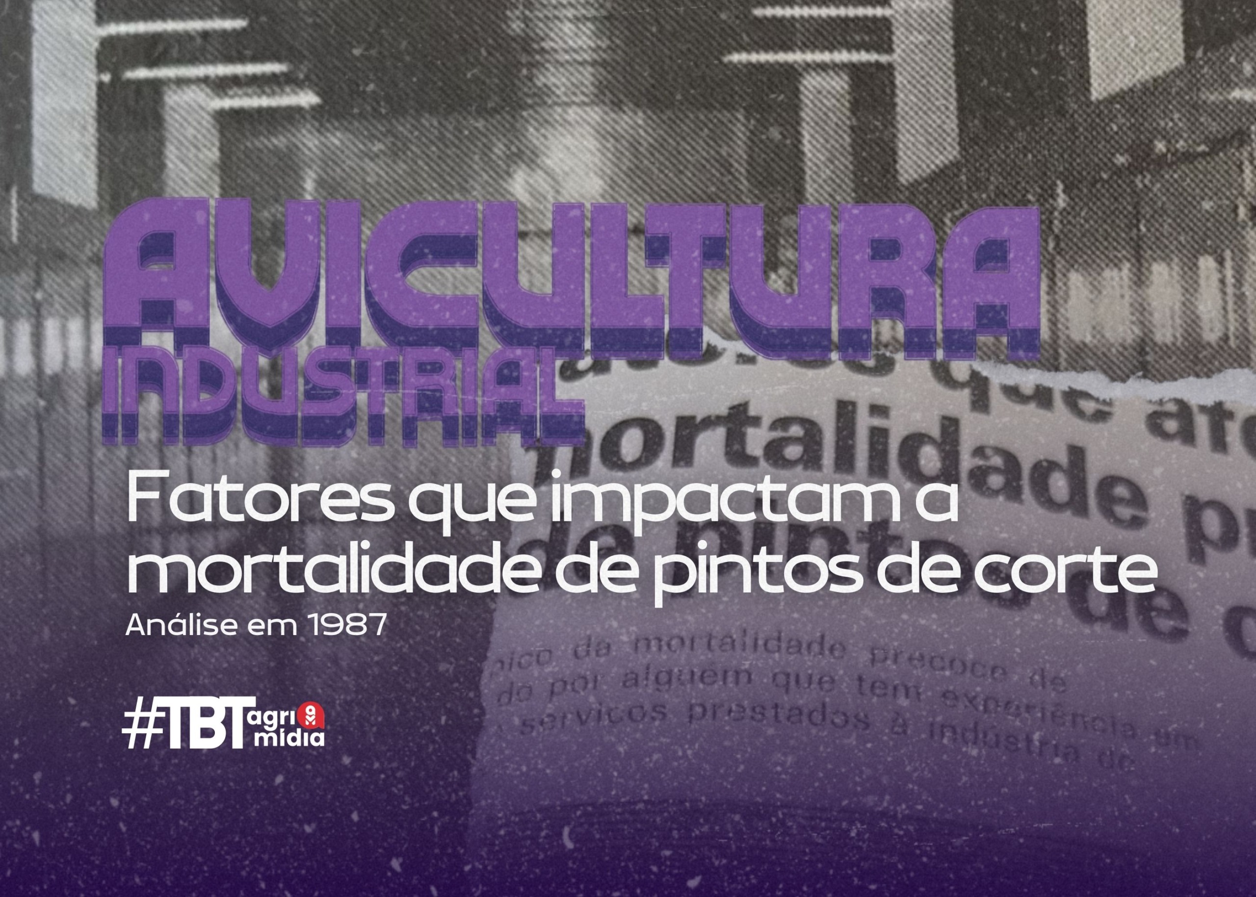 #TBT Agrimidia: Fatores que impactam a mortalidade de pintos de corte, em 1987 #TBT Agrimidia: Fatores que impactam a mortalidade de pintos de corte, em 1987