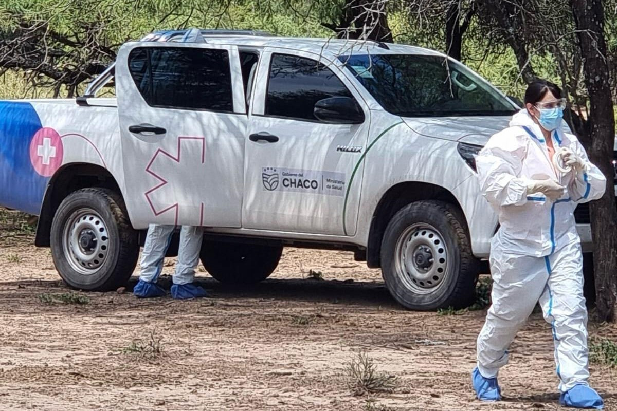 Argentina confirma novo caso de Influenza Aviária em aves domésticas e protocolo sanitário é acionado Argentina confirma novo caso de Influenza Aviária em aves domésticas e protocolo sanitário é acionado