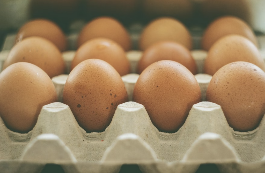 Indústria de ovos dos EUA enfrenta roubos e surto de Influenza Aviária