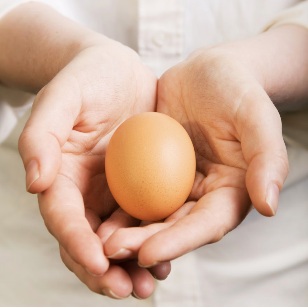 Nevada (EUA) pode suspender leis de criação sem gaiolas para aliviar preços dos ovos