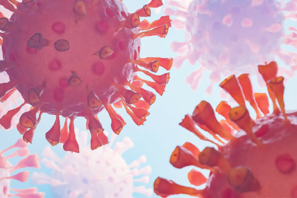 Gripe Aviária: mutação aumenta risco de transmissão humana, alertam especialistas da UE