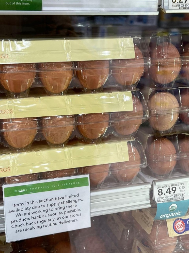 Crise do ovo: entenda por que o preço disparou no Brasil e no mundo