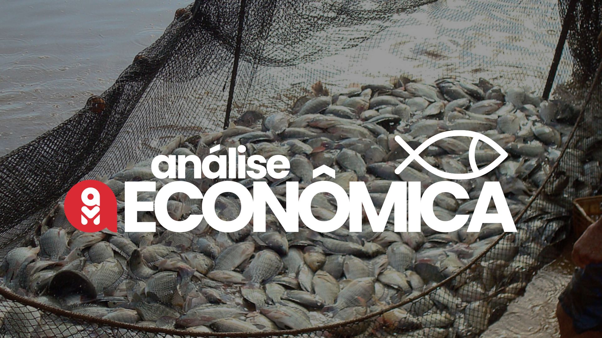 Análise Econômica Aquicultura: um panorama regional