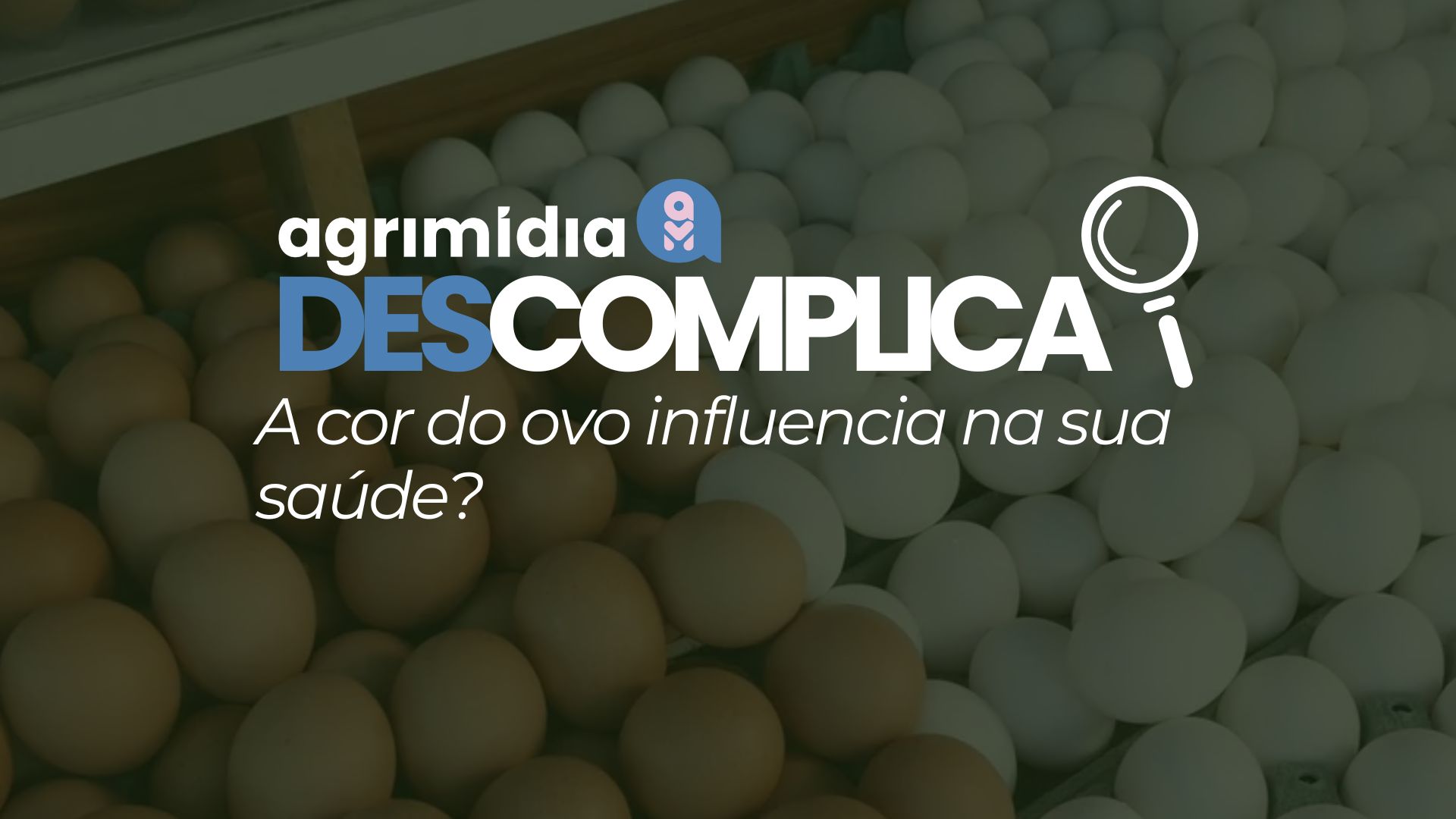 Agrimidia Descomplica: Branco ou marrom – a cor do ovo influencia na sua saúde?