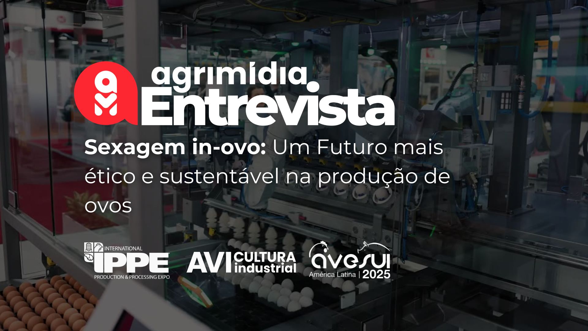 Um futuro mais ético e sustentável na produção de ovos