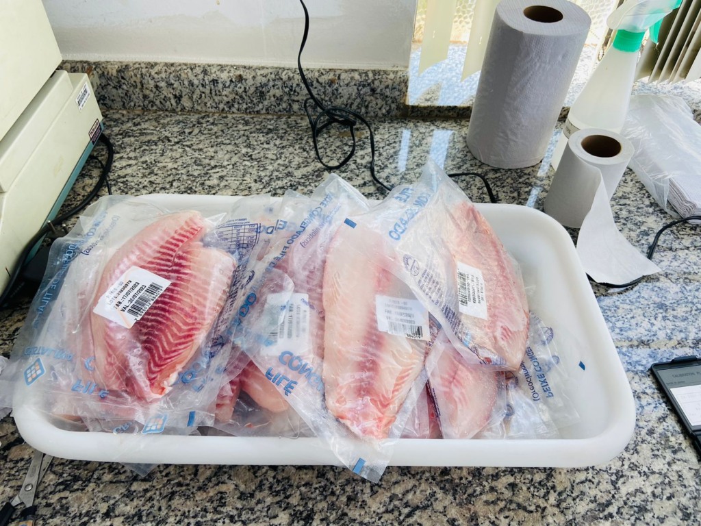 EUA mantêm filé fresco de tilápia brasileiro isento de sobretaxa de 25% EUA mantêm filé fresco de tilápia brasileiro isento de sobretaxa de 25%