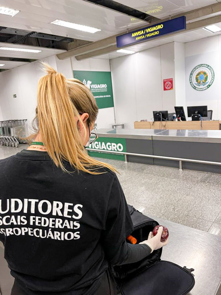 Anffa Sindical: Inspeções do Vigiagro em aeroportos crescem 17,8% e estrutura de fiscalização permanece a mesma