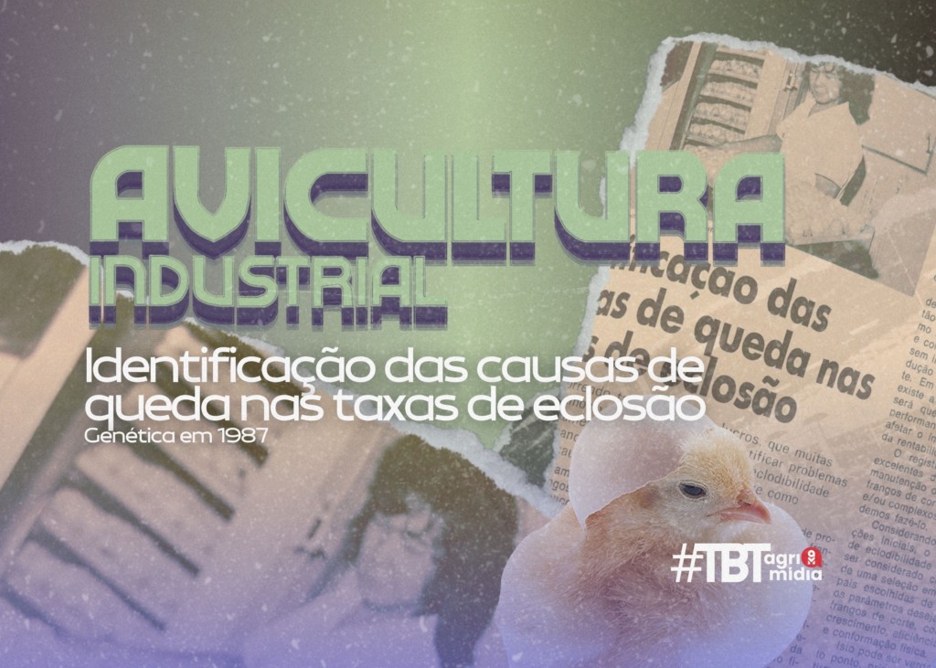 TBT Agrimidia: “Identificação das causas de queda nas taxas de eclosão” em 1987