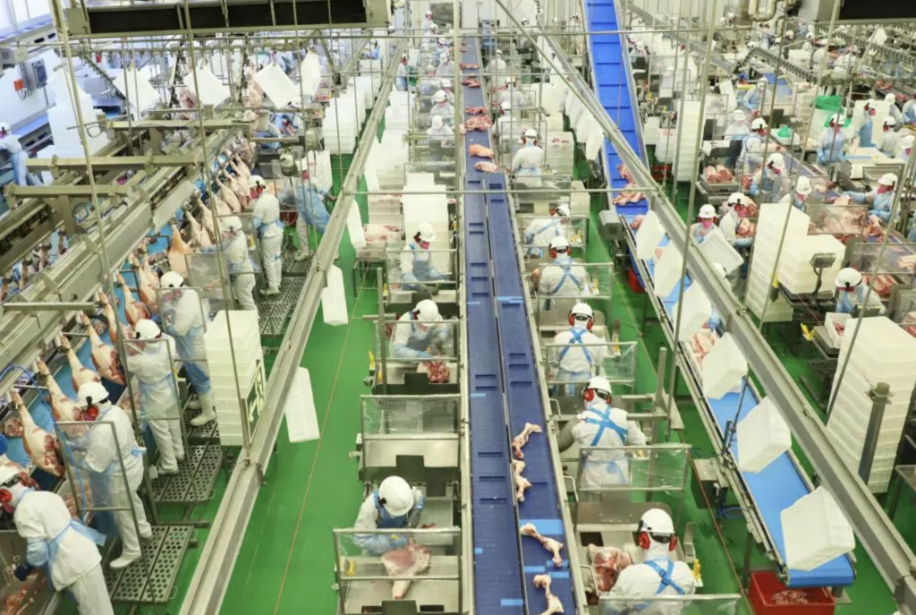 Safra 2024/25: boas perspectivas para produtores, alívio no bolso do consumidor e desafios no horizonte