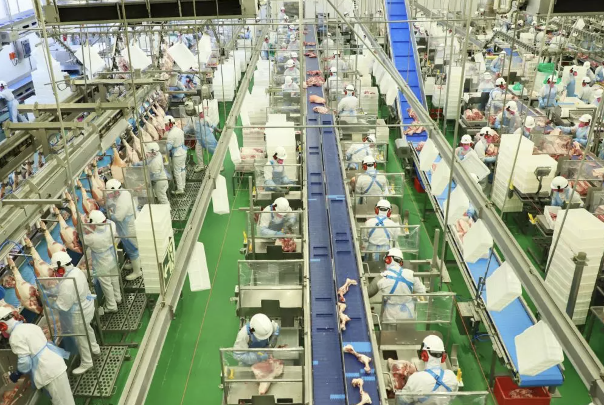 Safra 2024/25: boas perspectivas para produtores, alívio no bolso do consumidor e desafios no horizonte