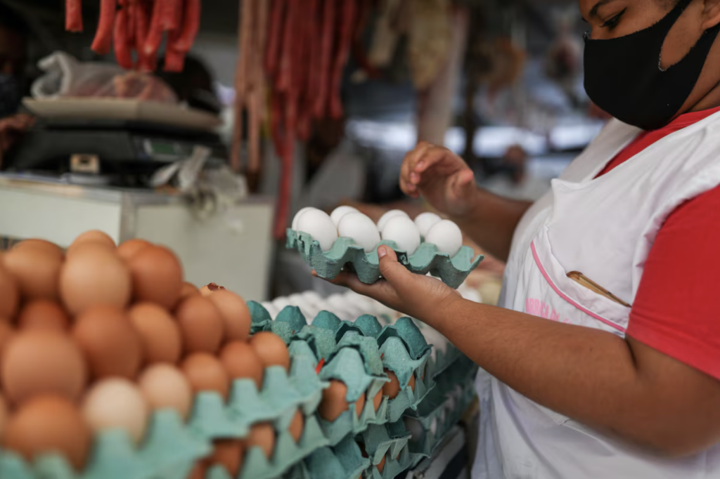 Demanda dos EUA impulsiona exportações de ovos do Brasil