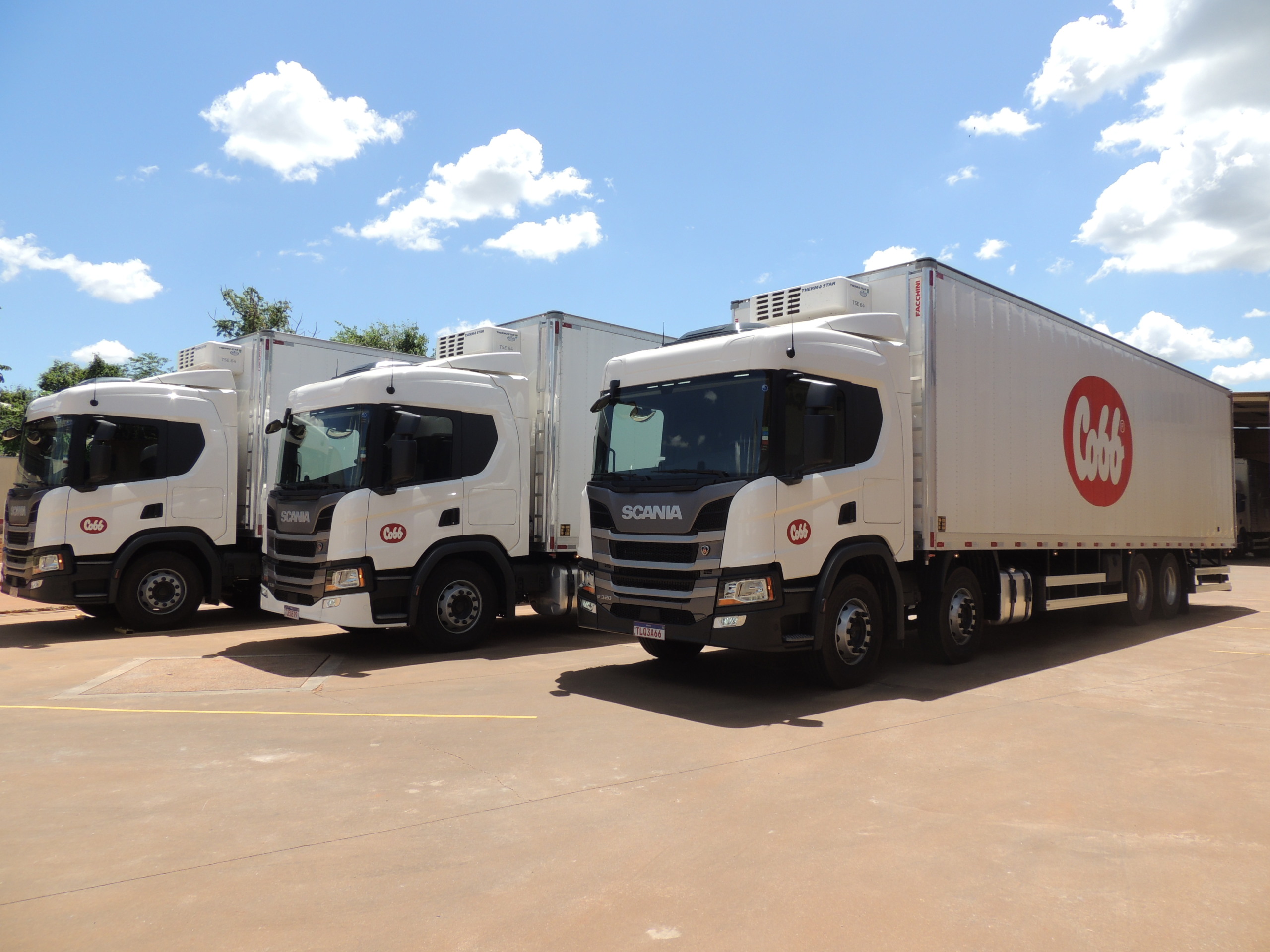 Cobb-Vantress renova frota e adota veículos com menos emissão de carbono Cobb-Vantress renova frota e adota veículos com menos emissão de carbono