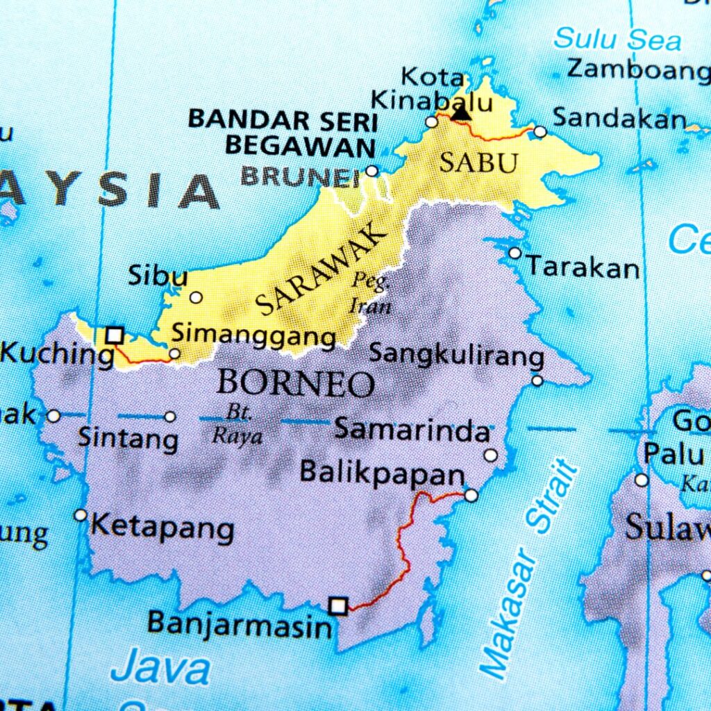 Exportadores de aves celebram anúncio de abertura de mercado malaio