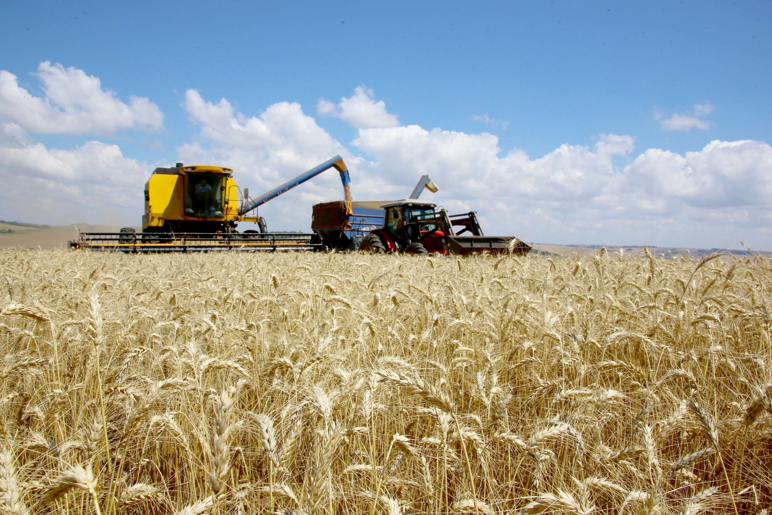 CNA inicia consultas nacionais para definir propostas do Plano Agrícola e Pecuário 2026/2027