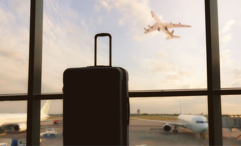 Sisbraip impulsiona a fiscalização agropecuária nos aeroportos brasileiros