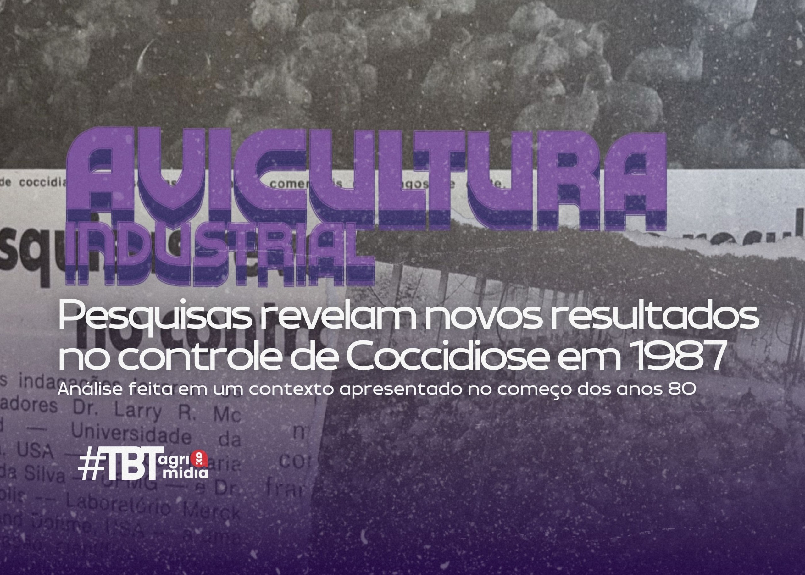 #TBT Agrimidia: Novas descobertas no controle da coccidiose em frangos de corte em 1987