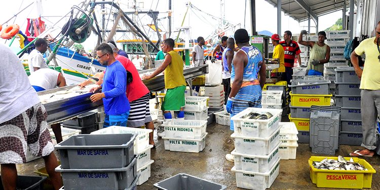Decisão do Governo Federal coloca em risco a cadeia produtiva de pescados no Brasil