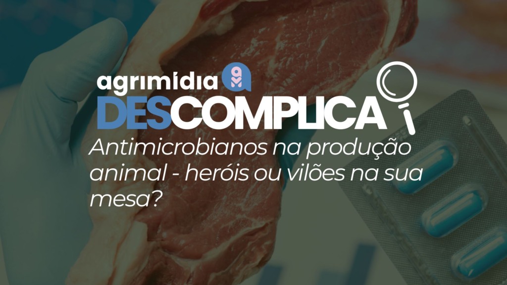 Agrimidia Descomplica: Antimicrobianos na produção animal – heróis ou vilões na sua mesa?