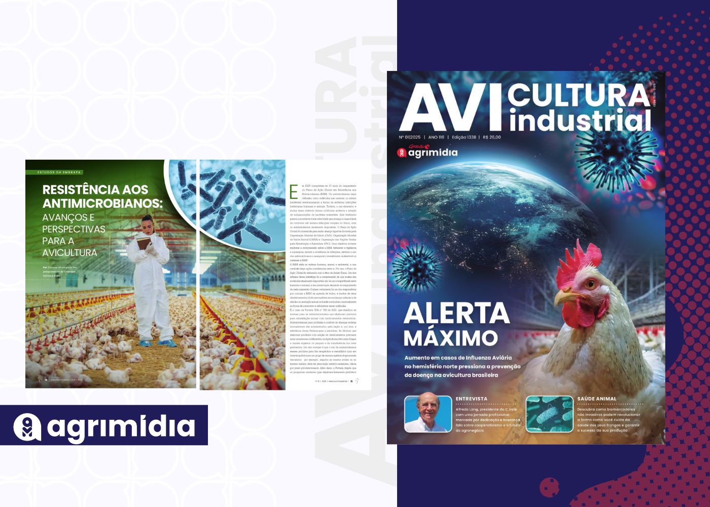Avicultura Industrial n°1338: Resistência aos antimicrobianos: avanços e perspectivas para a avicultura Avicultura Industrial n°1338: Resistência aos antimicrobianos: avanços e perspectivas para a avicultura