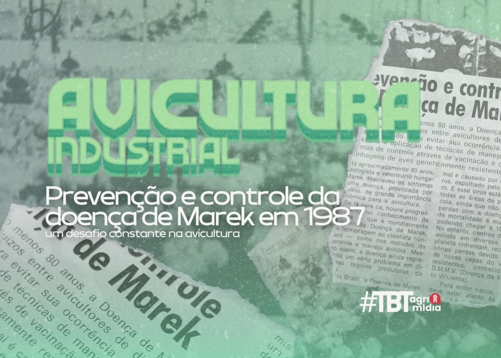 #TBT Agrimidia: Prevenção e controle da doença de Marek em 1987 – um desafio constante na avicultura