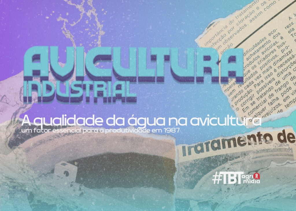 #TBT Agrimidia: A qualidade da água na avicultura – um fator essencial para a produtividade