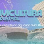TBT Agrimidia: A qualidade da água na avicultura – um fator essencial para a produtividade