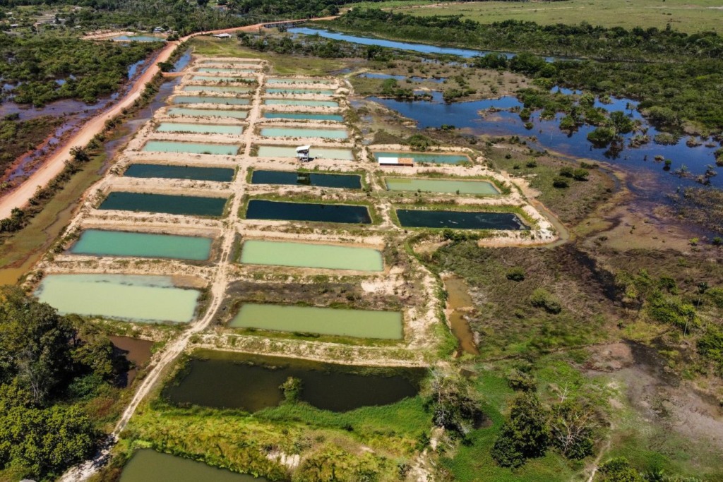 Produção pesqueira triplica no Pará, aponta Fapespa
