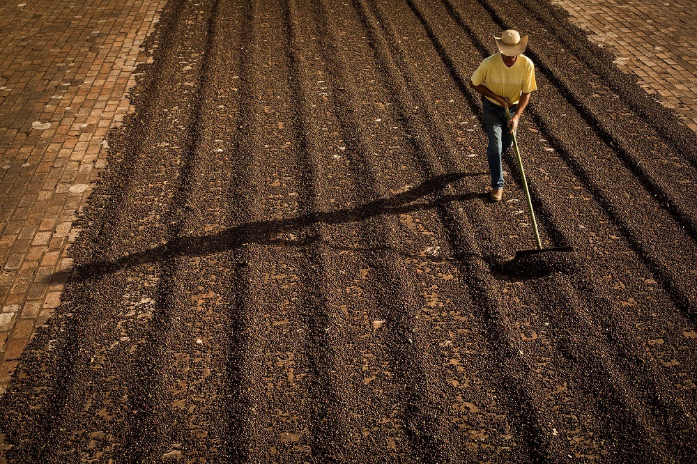 Campo Futuro lança grande levantamento de custo de produção no setor agrícola brasileiro
