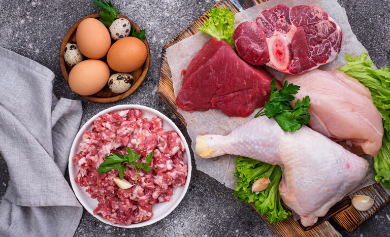 Sistema de assinatura eletrônica para certificados sanitários alcança mais de 100 mil solicitações